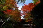 20081115ookuboji04.jpg