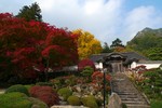 20081115ookuboji05.jpg