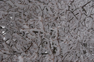 201002130947jyuhyo.jpg