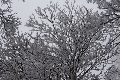 201002130953jyuhyo3.jpg