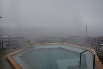 201002131211roten.jpg