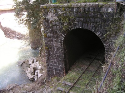 2010032106umajishinrintetsudou.jpg