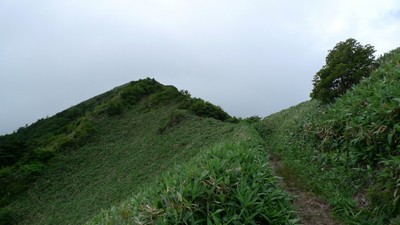 20100808iyofuji04higashikuromori.jpg