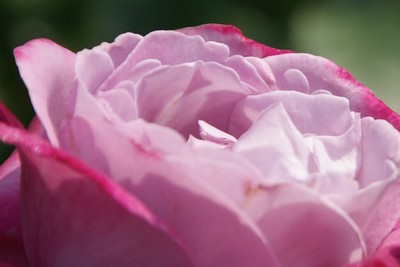 20110604RSKRoseGarden_BlueRiver.jpg