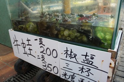 20130308taiwan35ushigaeru.jpg
