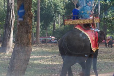 20140117SiemReap13_elephant.jpg