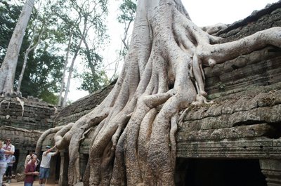 20140117SiemReap53.jpg