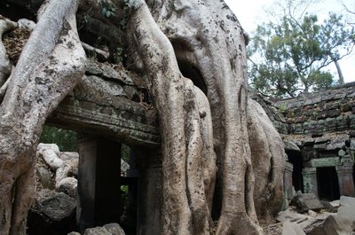20140117SiemReap60.jpg