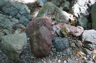 20200826Ryokamisan09.jpg