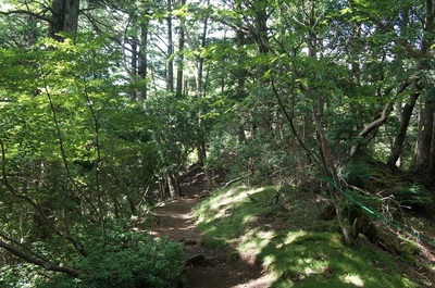 20200826Ryokamisan21.jpg