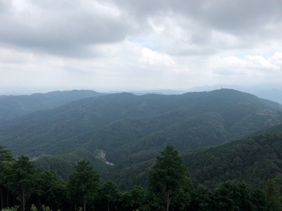 IMG_3110.JPG
