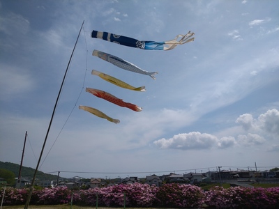 DSC_0704.JPG