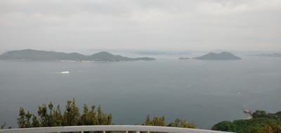 IMG_20210425_073432.jpg