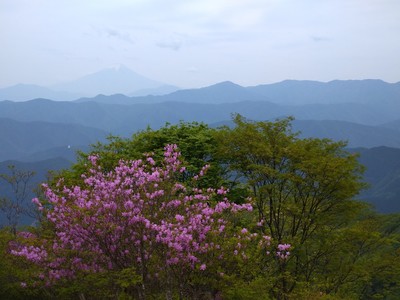 DSC_0803.JPG