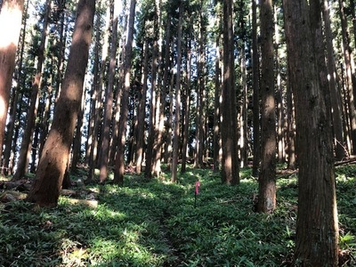 IMG_6872.JPG