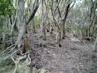 DSC_1112.JPG