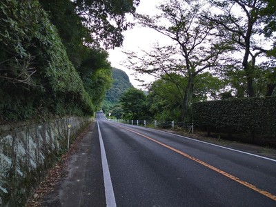 DSC_1148.JPG