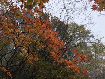 IMG_7864.JPG