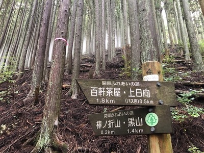 IMG_7956.JPG