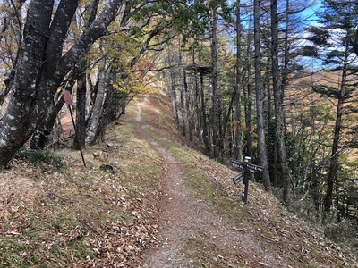 IMG_8462.JPG