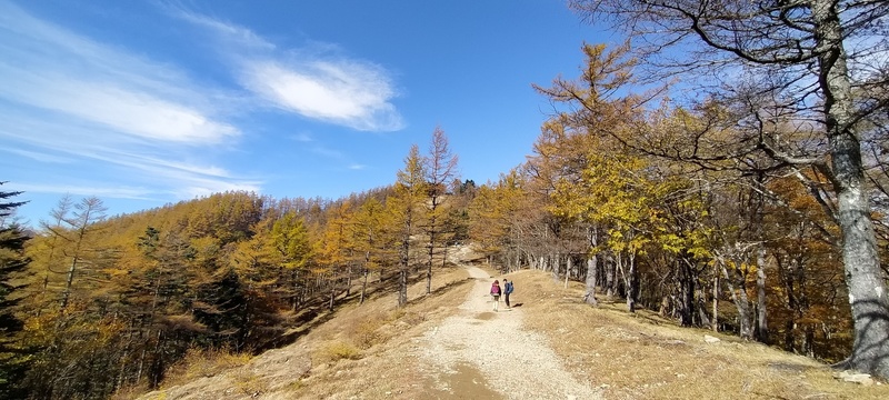 IMG20211030114752.jpg