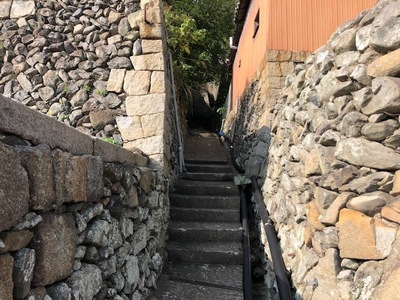 IMG_3937.JPG